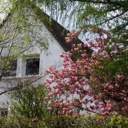 Villa De Charme Alsace - Riquewihr