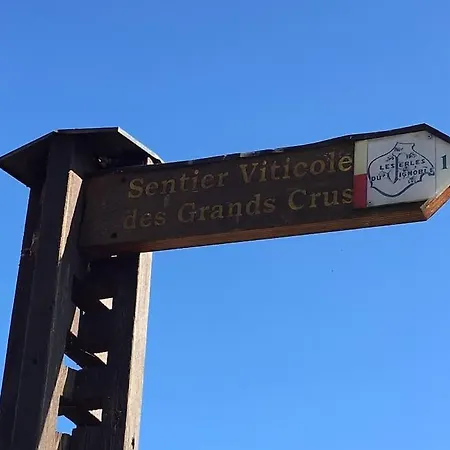 Villa De Charme Alsace - *