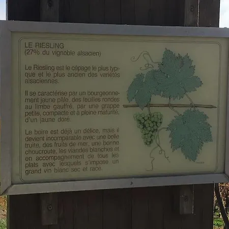 De Charme Alsace -