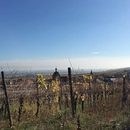 Villa De Charme Alsace -